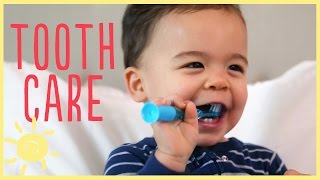 TIPS  TODDLER TOOTH CARE w pediatric dentist [upl. by Alaikim940]