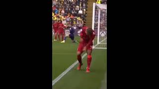 Roberto Firmino Cute Goal CelebrationLiverpoolEPLFootball [upl. by Nnylaf]