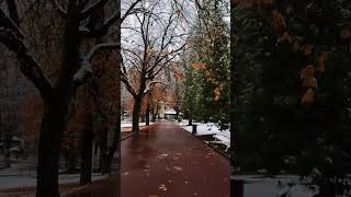 4K Walking Around Sinaia Romania  Dimitrie Ghica Park romania autumn2024 POVBarengHasan [upl. by Carlyn355]