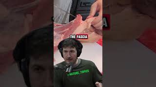 Meat is dangerous if its raw  Glenn Villeneuve on Joe Rogan Experience shorts jre [upl. by Ahsilac]