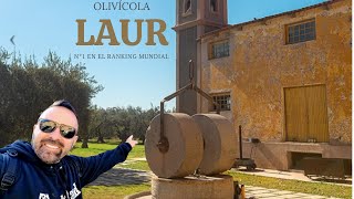 Visitamos a Olivícola Número 1 do mundo LAUR em Mendoza  EP 24 [upl. by Alyss]