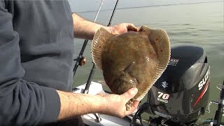 Fishing for Flatfish  Rigs Tips amp Tactics  CATCH MORE FISH [upl. by Annert]