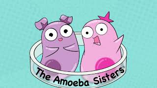 Amoeba Sisters Music [upl. by Ardnas]