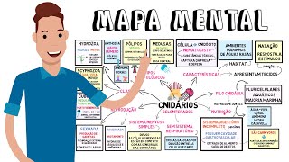 MAPA MENTAL  Cnidários [upl. by Oates973]