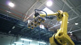 Elinta Fanuc Robot [upl. by Einwat]