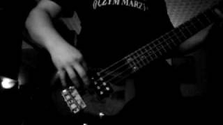 Perfect  Lokomotywa z ogloszenia bass cover [upl. by Anima]