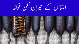 Amaltas Ke Fayde In Urdu  Amaltas Ke Phool Ke Fayde  Amaltas Tree Benefits In Urdu  Amaltas Fayde [upl. by Cello819]