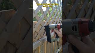 Central Pneumatic Air Nailer Stapler Gun stapling lattice to the wood fence staplegun shorts [upl. by Dardani]