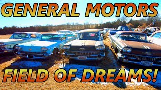 GENERAL MOTORS FIELD OF DREAMS So Many Nice Classic Cars Cadillacs Pontiacs Buicks Chevrolets [upl. by Florrie]