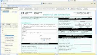 Free AdvTax Online 2012 Fastest Demo [upl. by Alauqahs]