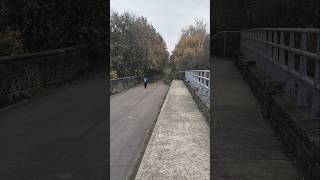 Couldnt find towpath yet haha shortvideo nature uk [upl. by Nevaeh]