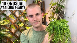 10 Unusual Trailing Houseplants [upl. by Neelahs]