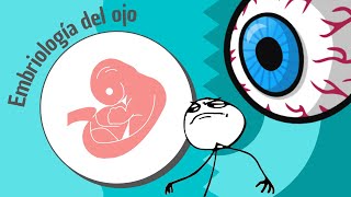 Desarrollo embriológico de los ojos  SCool [upl. by Libre25]