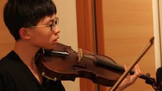 ABRSM Viola Grade 8 Fiddle Faddle by Leroy Anderson [upl. by Eiuqram]