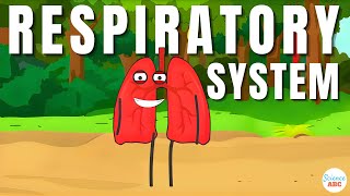 Respiratory System From Inspiration to Expiration Explained in Simple Words [upl. by Wall431]