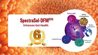 SpectraSol DFM GTH [upl. by Nabala]