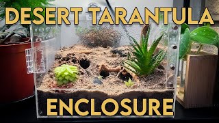 BIOACTIVE DESERT TERRARIUM for my HEAVY WEBBING tarantula  Monocentropus balfouri [upl. by Yeblehs]