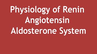 Physiology of Renin Angiotensin Aldosterone System  Dr Shikha Parmar [upl. by Disharoon]