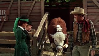 The Rare Breed 1966 Movie  James StewartMaureen OHaraBrian Keith  Facts amp Reviews [upl. by Richard563]