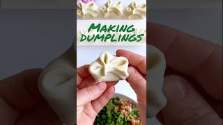 Dumplings where comfort meets deliciousness Dumplings DumplingRecipe Chinese [upl. by Elletnuahc]