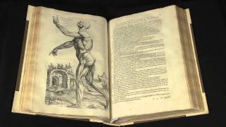 On the Workings of the Human Body de Humani corporis fabrica by Andreae Vesalii [upl. by Novyat]