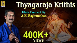 Thyagaraja Krithis  Classical Instrumental  Flute concert by AKRaghunathan [upl. by Thera]