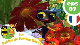 DRÔLES DE PETITES BÊTES  EP07  Le gâteau pourri [upl. by Norrahs]