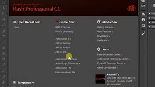 Adobe Flash Professionals  Intro to Flash Tutorials In UrduHindi [upl. by Keldon367]