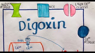 MECHANISM OF ACTION OF DIGOXIN PART 1  QUICK EASY CONCEPT IN 6 MINS  USMLE 1  MBBS  NEET PG [upl. by Chemash]