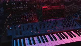 Cold Microtonal Drones Oberheim TEO5 Behringer Crave Model D Cat [upl. by Hogle522]