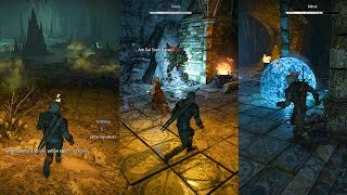 The Witcher 3  Wandering in the Dark  FAST walkthrough in 24 Minutes [upl. by Navonoj41]