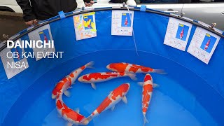 Trying to Buy New Koi Fish in Japan [upl. by Eyatnod]