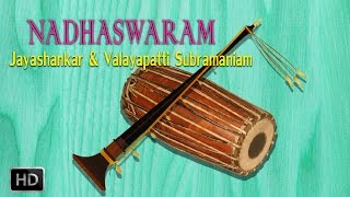 Nadhaswaram  Classical Instrumental  Raghuvamsa Sudha  Jayashankar amp Valayapatti Subramaniam [upl. by Ciaphus]