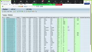 B20 CL21 Text Tables in SAP Part 1 [upl. by Eiznil]