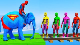 Long Slide Game With Elephant Gorilla Buffalo Hippopotamus Tiger  3d Animal Game  Funny 3d Animals [upl. by Ettegdirb]