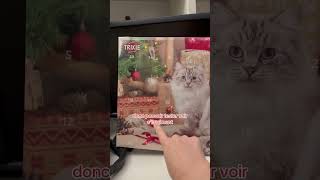 Calendrier de l’avent pour chats cat chat calendrierdelavent noel [upl. by Gilbert]