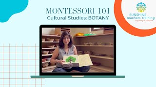 Montessori 101  Botany [upl. by Englis]