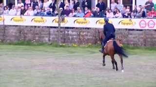 WIVINA Jumping Lummen Nations cup [upl. by Yelraf]