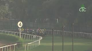 Race No 35 The Moon Forest Handicap Div I [upl. by Imuya]