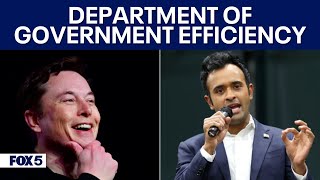 What will the Department of Government Efficiency actually do [upl. by Ennayd]