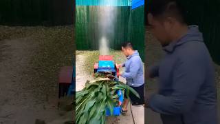 New Grass Cutter Machine satisfying funny shorts grasscutter [upl. by Volding]