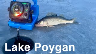 FIRST ICE Lake Poygan Walleyes amp White Bass [upl. by Idnym]