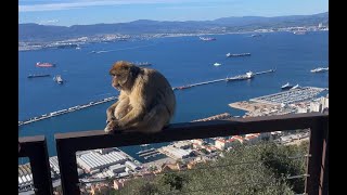 The fascinating Gibraltar [upl. by Atilahs793]