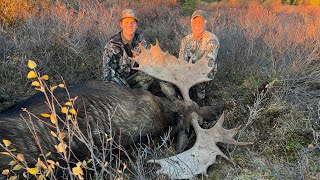 Another Moose with my Dad our typical fly in Alaskan moose hunting adventure [upl. by Amr219]