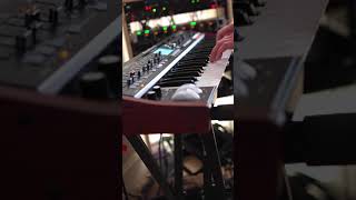 short song behringer deepmind 12 [upl. by Kallista286]