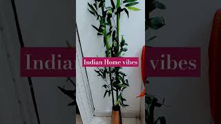 Indian Home Vibes PratimasLIFENLiving homedecoration hometour shorts [upl. by Lawford756]