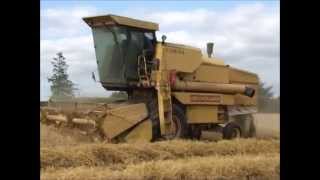 New Holland 8050 Clayson combine [upl. by Stevenson]