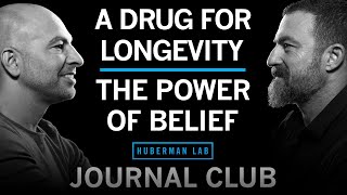 Journal Club with Dr Peter Attia  Metformin for Longevity amp The Power of Belief Effects [upl. by Lledo]