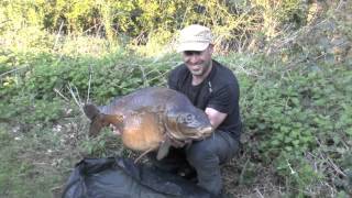 Carp fishing on Wraysbury and Roach pit DVD [upl. by Aeikan509]