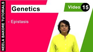 Genetics  Principles of Inheritance amp Variations  NEET  Epistasis  Neela Bakore Tutorials [upl. by Cassandre350]